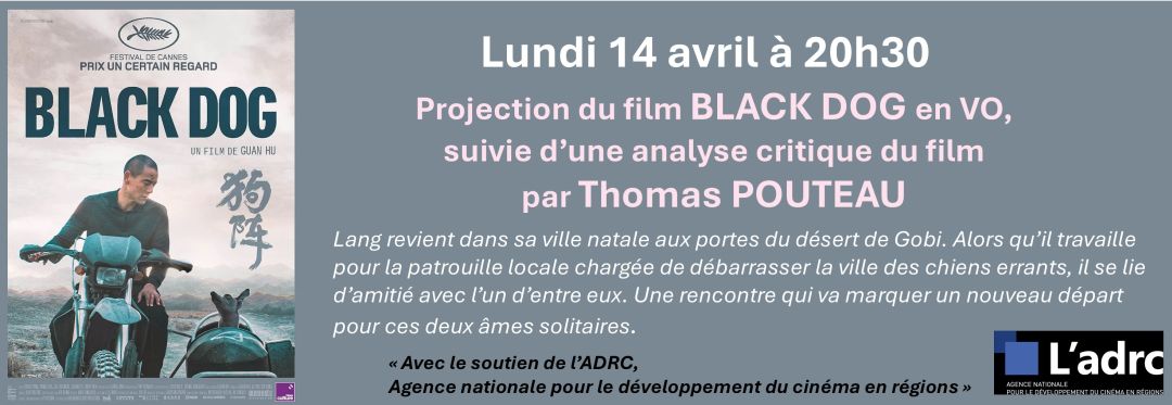 Bannière - Tous au cinéma !