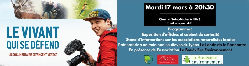 Bannière - Tous au cinéma !