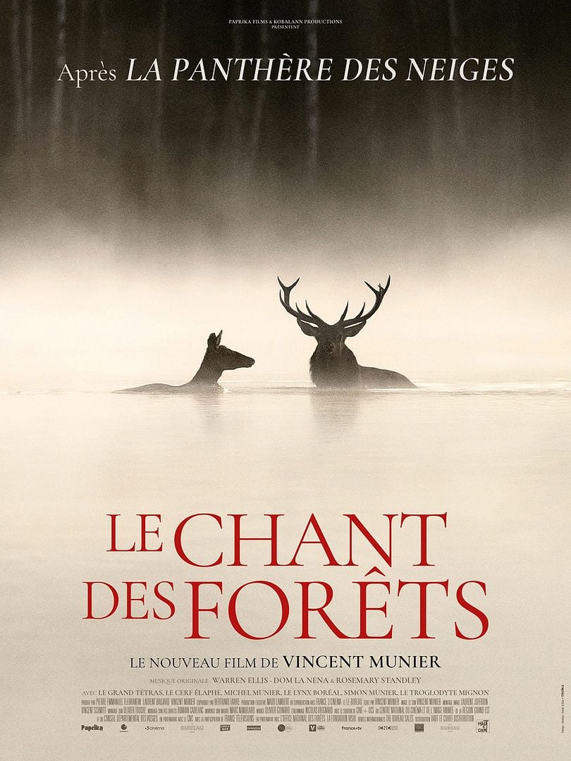 LE CHANT DES FORÊTS